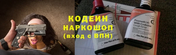 дживик Бородино
