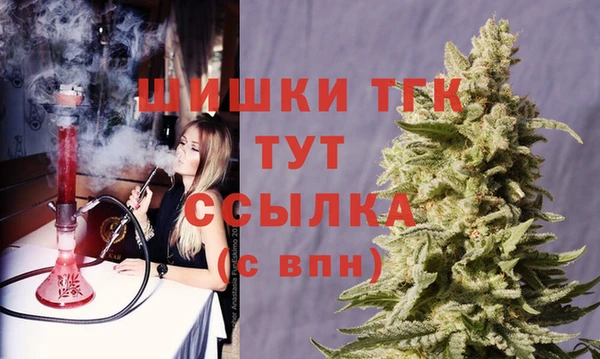 дживик Бородино