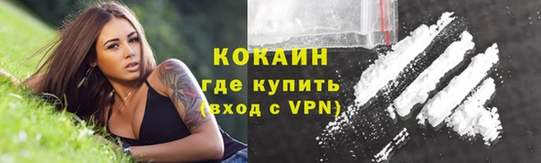 дживик Бородино