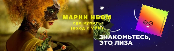 дживик Бородино