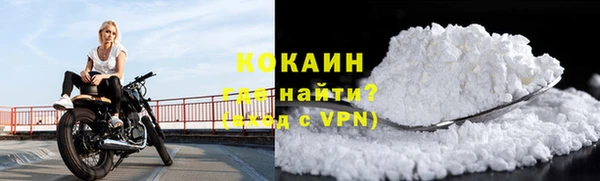 дживик Бородино