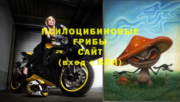 хмурый Бронницы