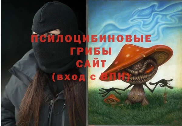 хмурый Бронницы