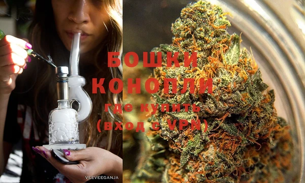 дживик Бородино