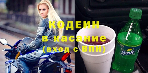 дживик Бородино