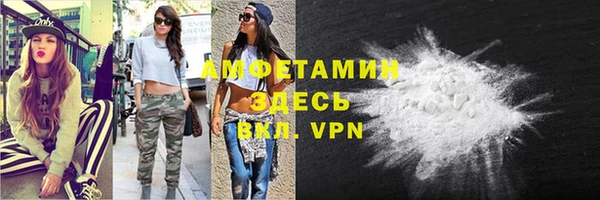 дживик Бородино